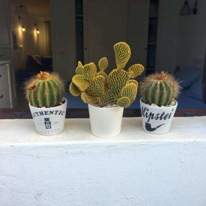 Vivienda Vacacional Cactus Коста-Тегісе Екстер'єр фото